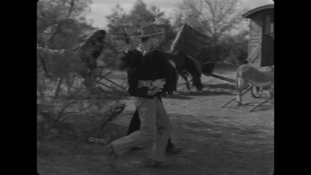 Vendetta en camargue-0002.jpg
